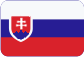 Průzkum trhu Slovensky